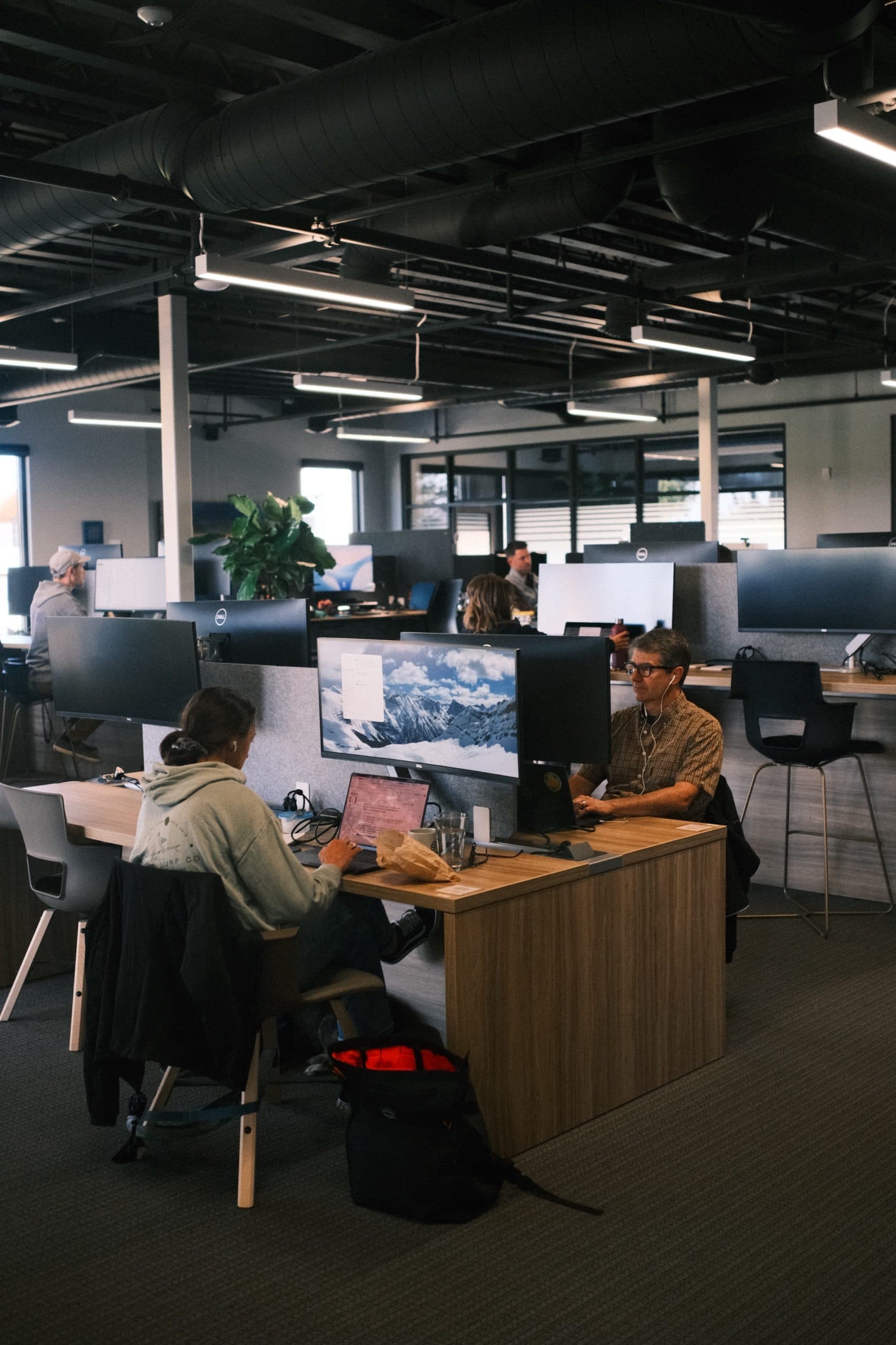 The Work Collective