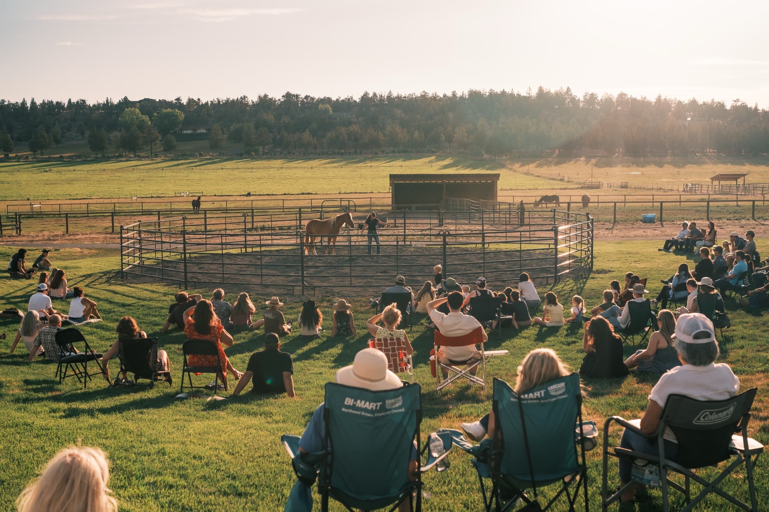 Crystal Peaks Youth Ranch — Refuge Night — image 17