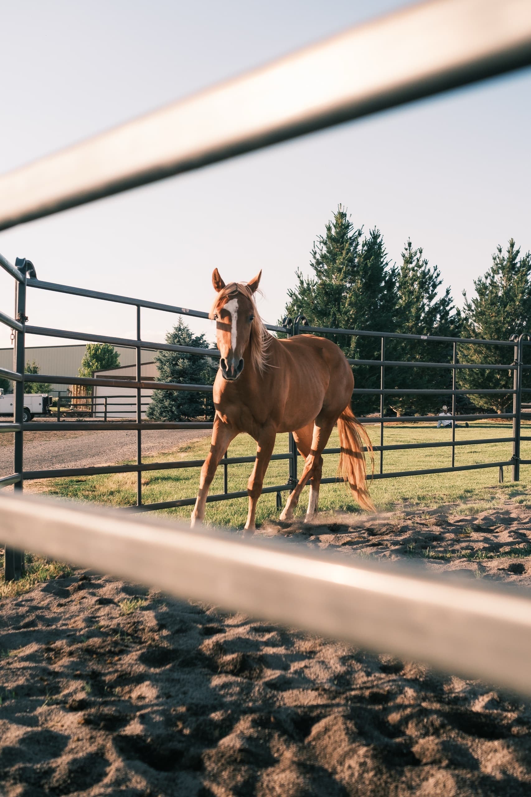 Crystal Peaks Youth Ranch — Refuge Night — image 18