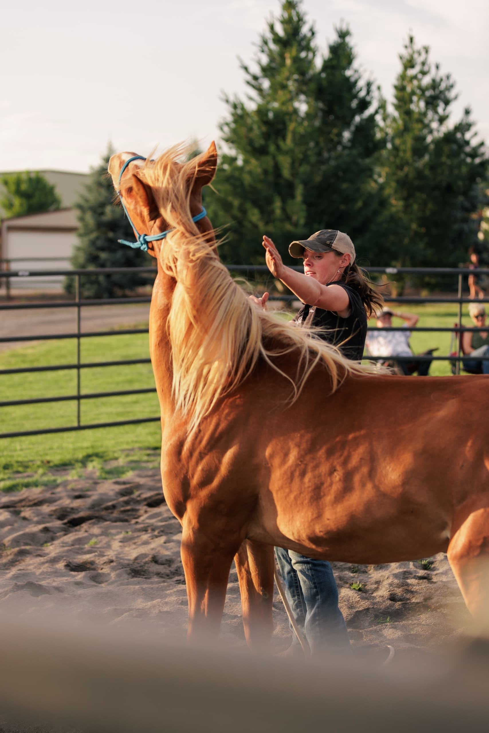 Crystal Peaks Youth Ranch — Refuge Night — image 36