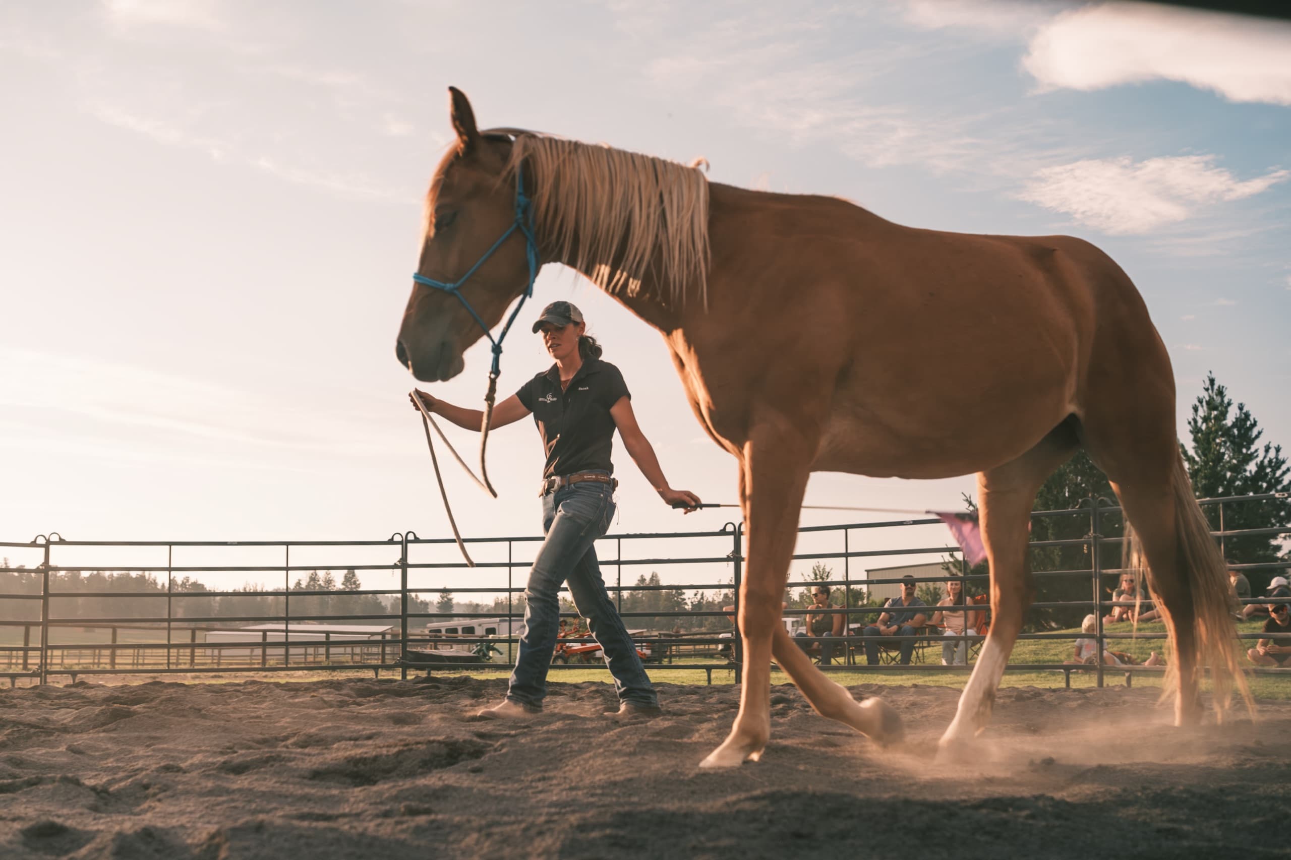 Crystal Peaks Youth Ranch