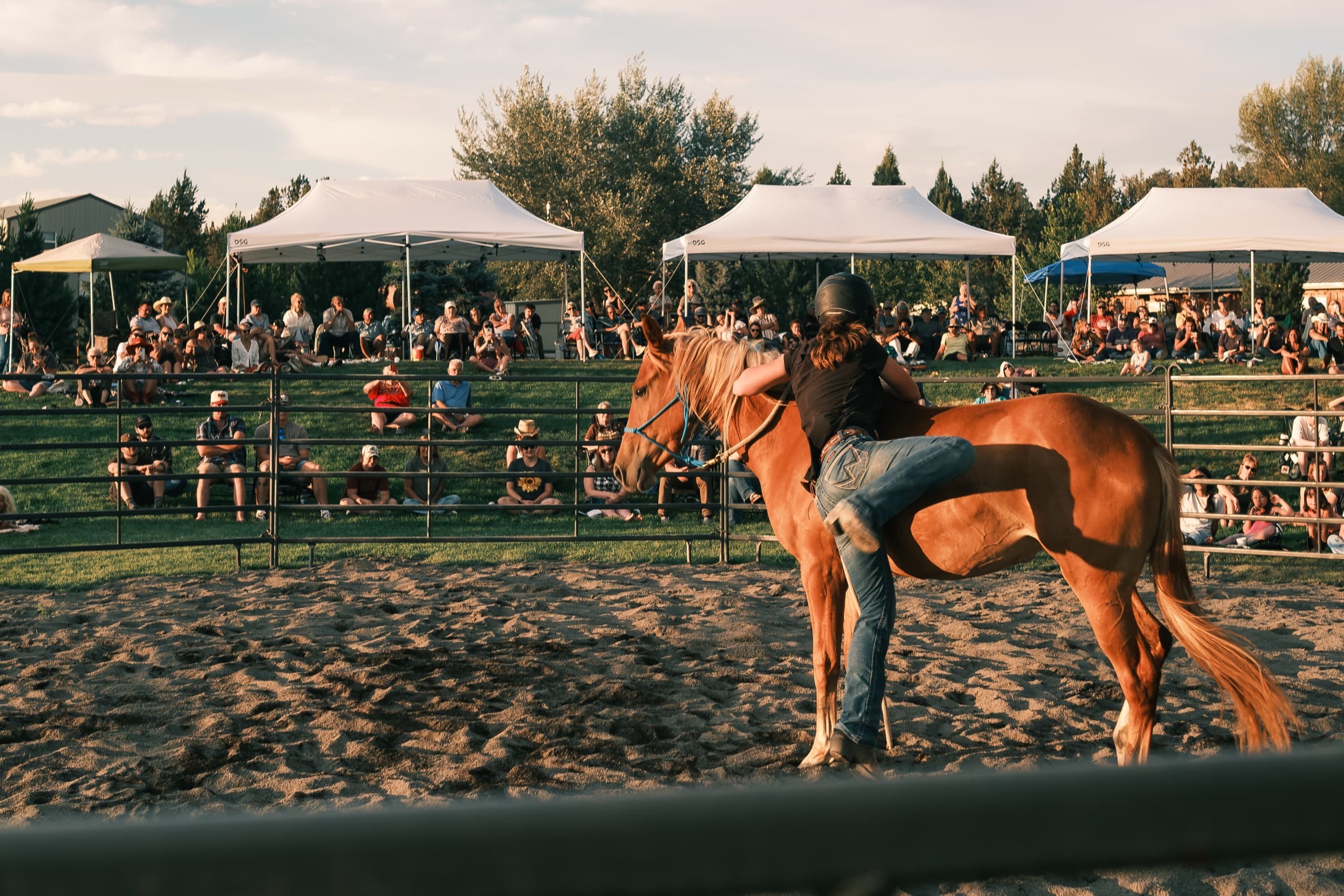 Crystal Peaks Youth Ranch — Refuge Night