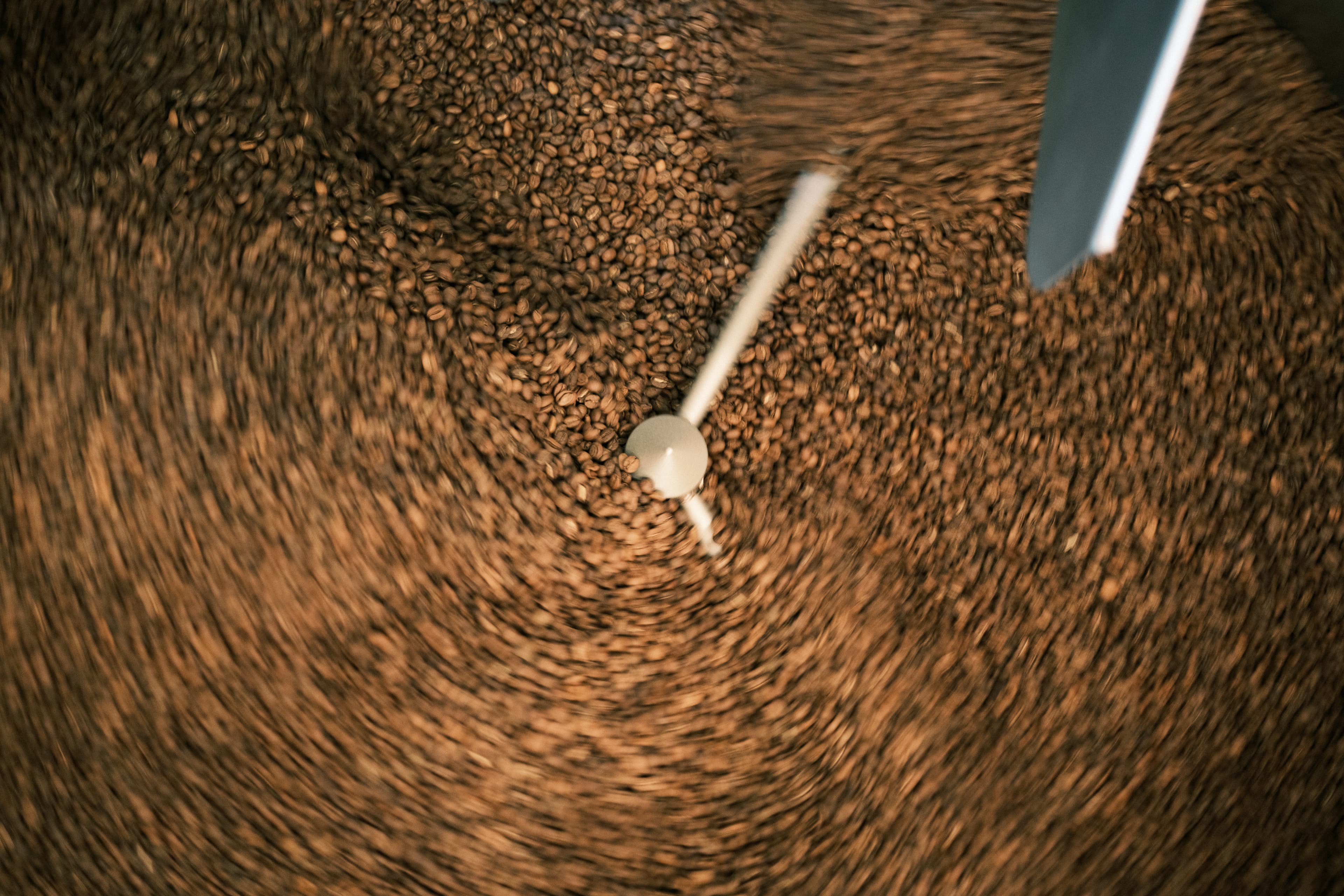 Backporch Coffee Roasters