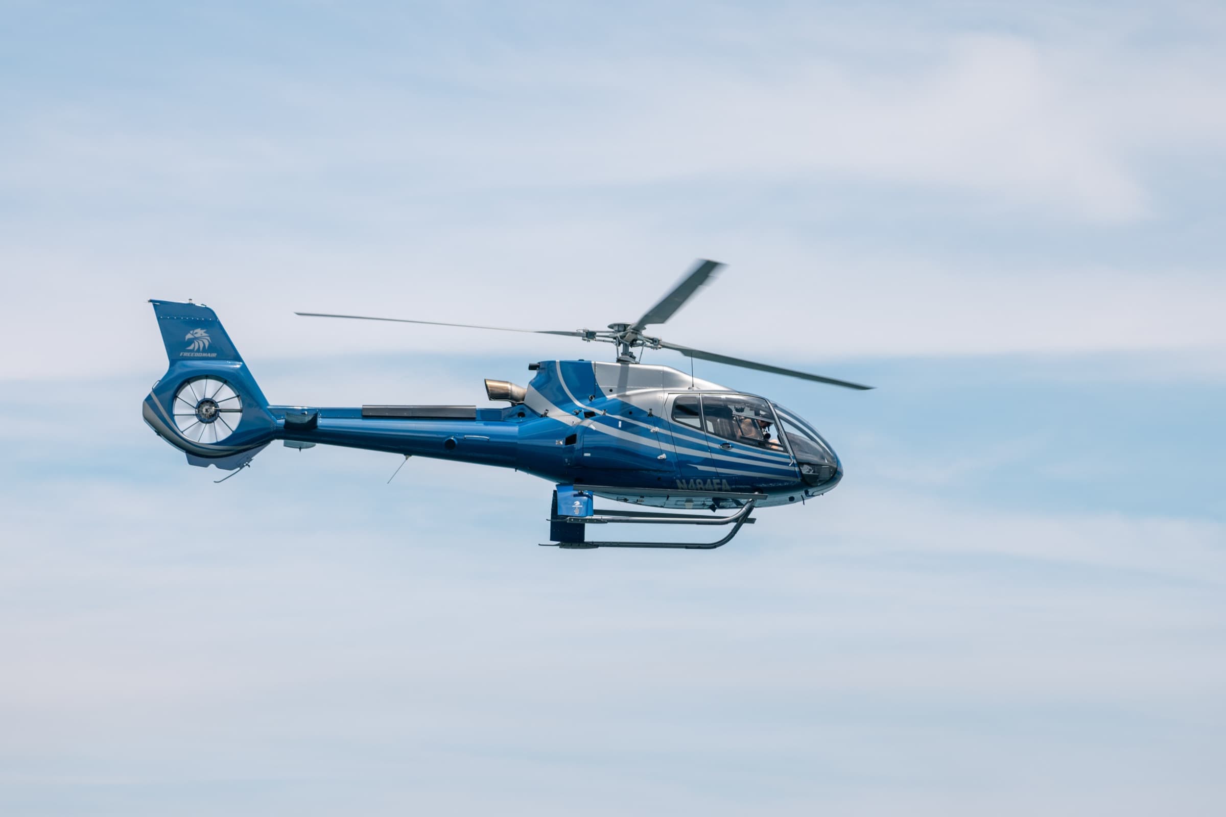 Freedom Air, image 40
