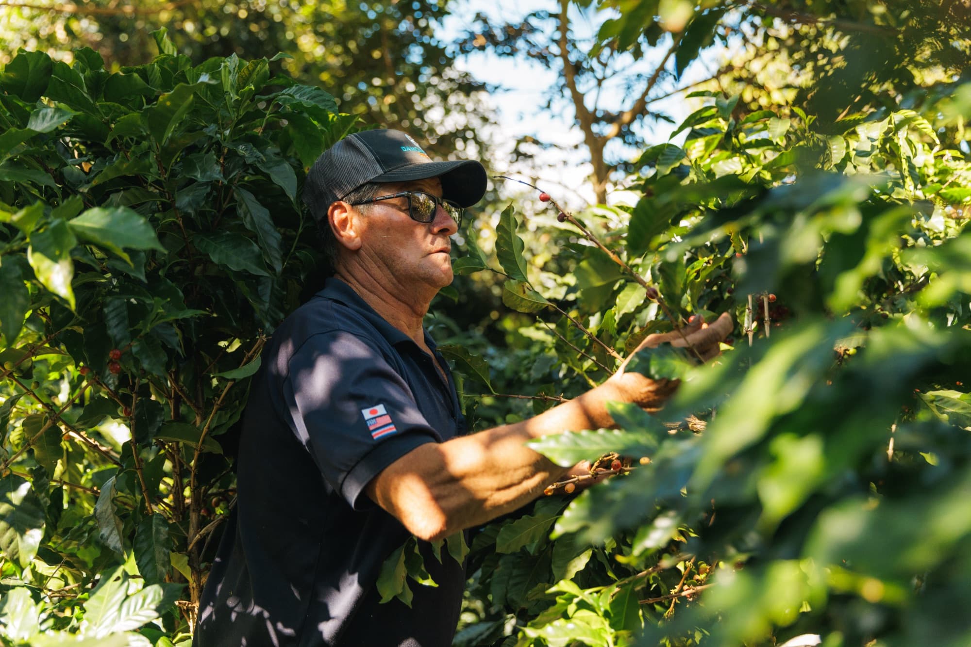 Origins: Costa Rica, image 22