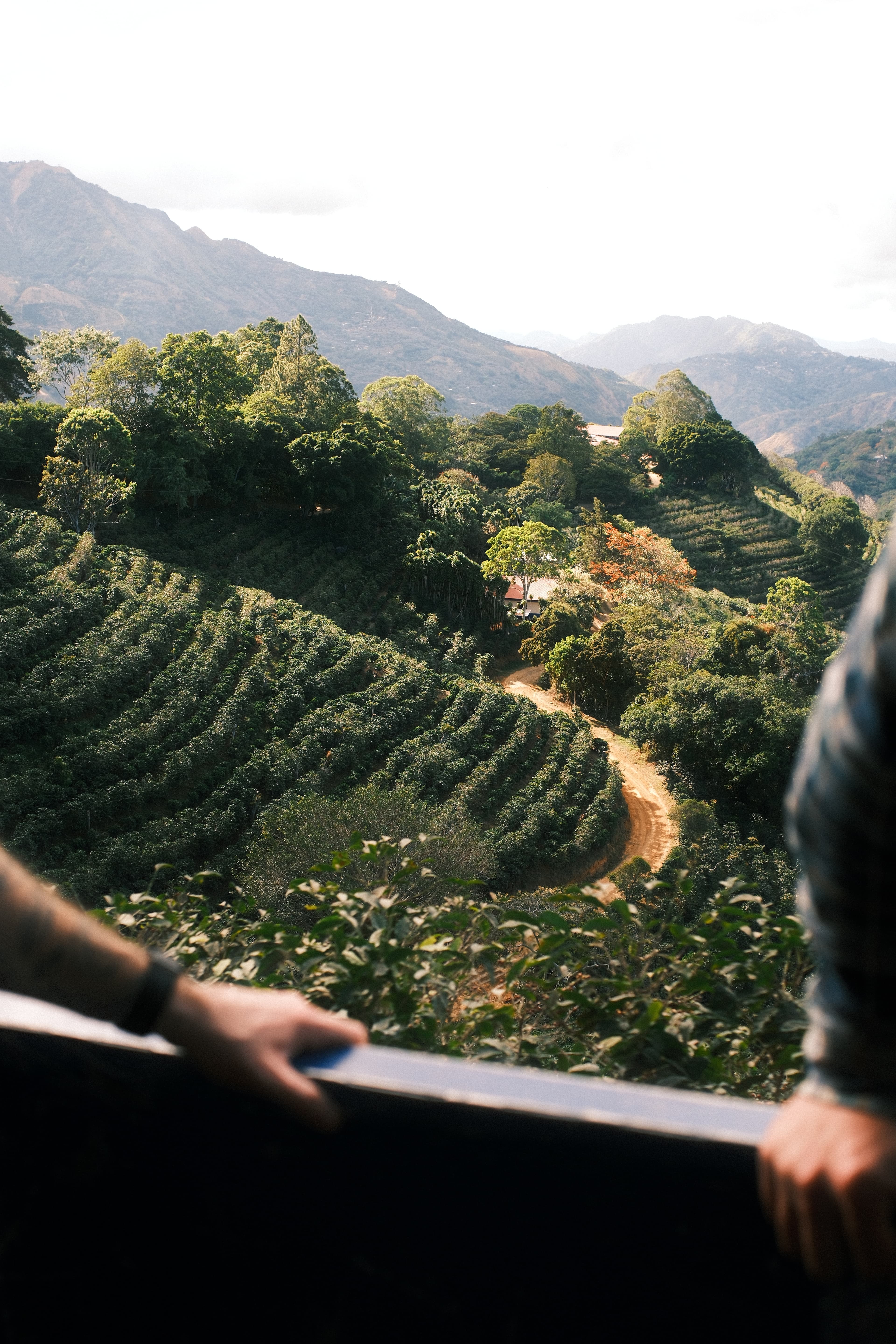 Origins — Costa Rica