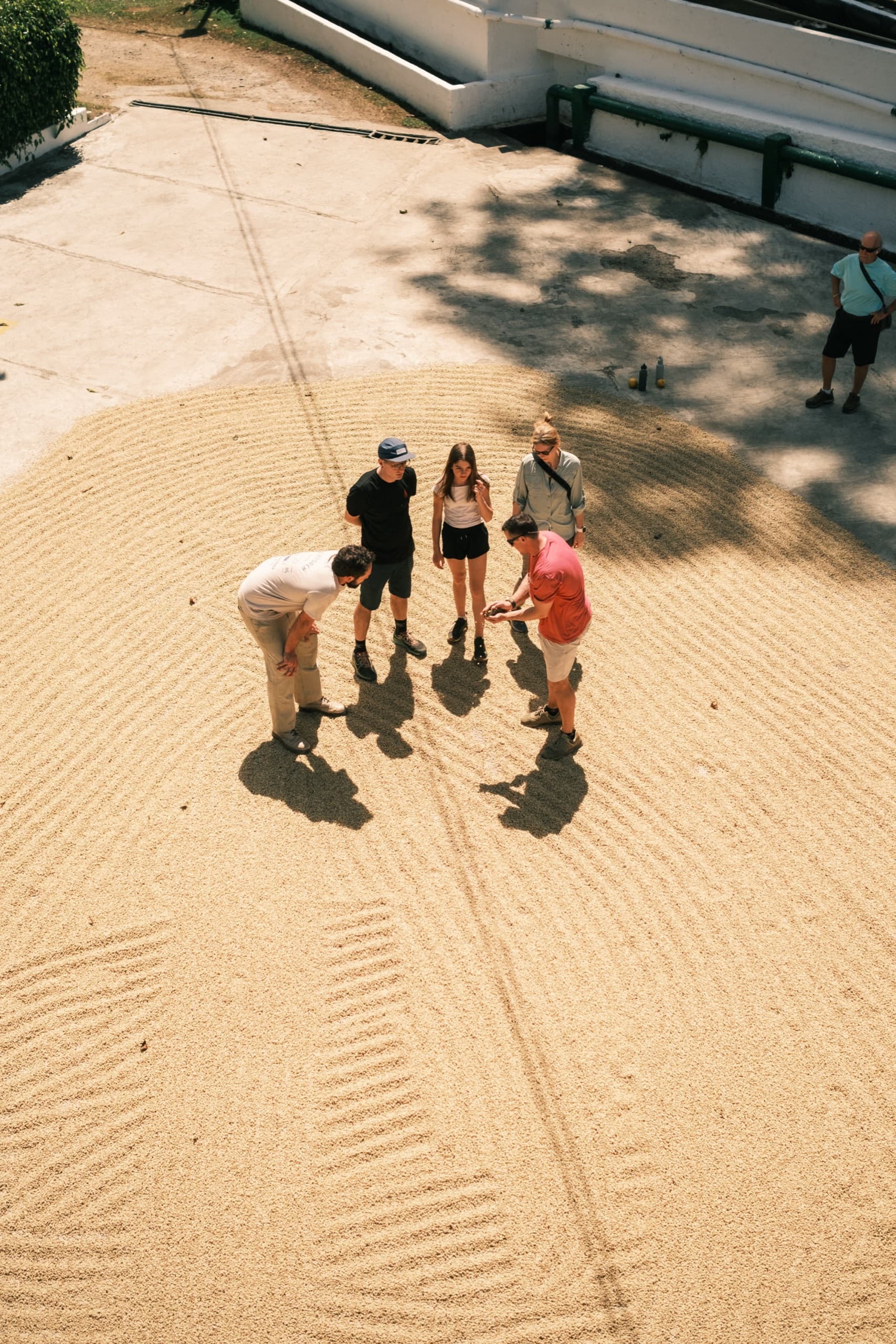 Origins: Costa Rica, image 7