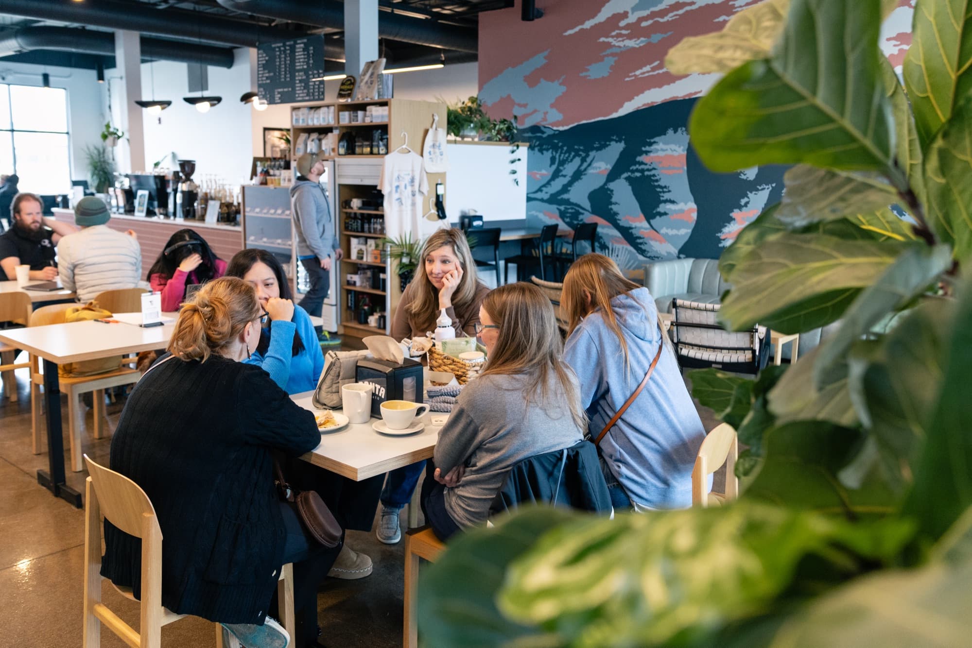 Backporch Coffee Roasters — Place