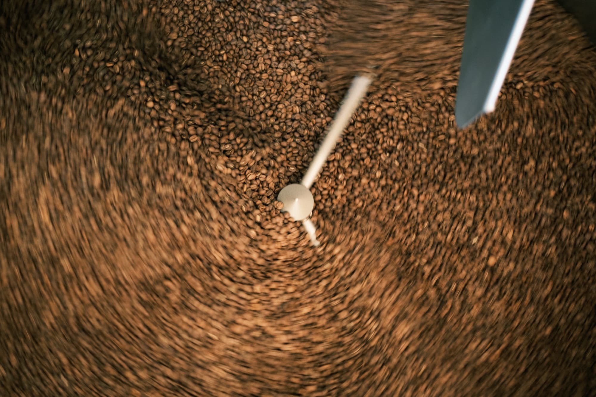 Backporch Coffee Roasters