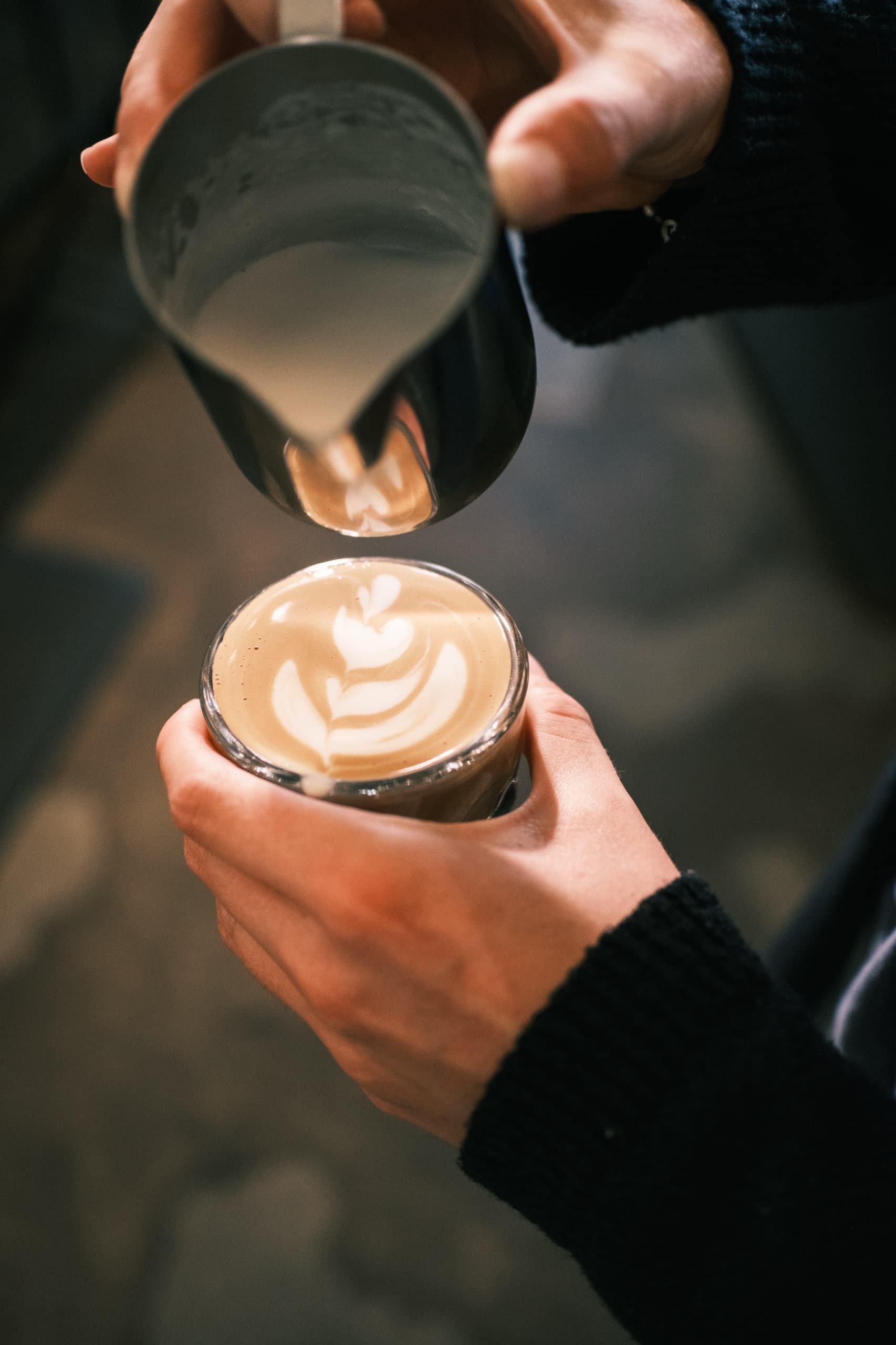 Backporch Coffee Roasters — Product